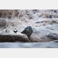 6413 x 4276 Px   _RM_200122_D4_9468.jpg