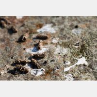 6720 x 4480 Px   _RM_190501_D4_4698.jpg