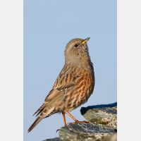 2983 x 4475_Px _RM_110903_MG_0605_b.jpg