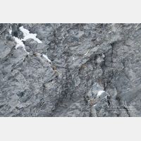 3145 x 2097_Px _RM_170212_MG_9477.jpg