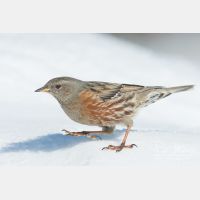 3414 x 2276_Px _RM_101231_MG_5407.jpg