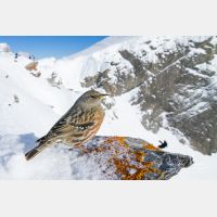 3622 x 2414_Px _RM_170211_MG_5017.jpg