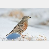 3779 x 2519_Px _RM_101231_MG_5348.jpg