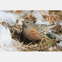 3888 x 2592_Px _RM_101231_MG_4959.jpg