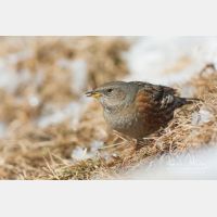 3888 x 2592_Px _RM_101231_MG_5102.jpg