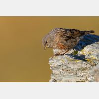 4465 x 2977_Px _RM_110903_MG_0674.jpg