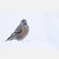 4612 x 3075_Px _RM_170210_MG_5704.jpg