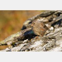 4651 x 3101_Px _RM_110903_MG_0551.jpg