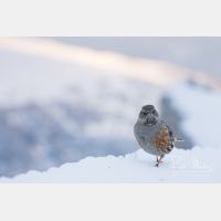 4654 x 3103_Px _RM_170210_MG_6791.jpg