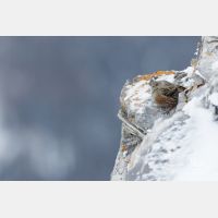 4696 x 3131_Px _RM_170212_MG_9482.jpg