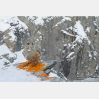 4700 x 3133_Px _RM_170211_MG_5330.jpg