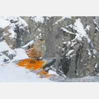 4708 x 3138_Px _RM_170211_MG_5318.jpg