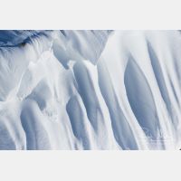 4769 x 3179_Px _RM_170211_MG_7329.jpg