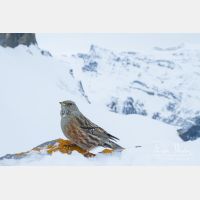 4780 x 3187_Px _RM_170212_MG_5467.jpg