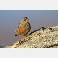 4793 x 3196_Px _RM_110903_MG_0610.jpg