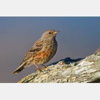 4800 x 3200_Px _RM_110903_MG_0562.jpg