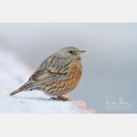 4830 x 3220_Px _RM_140218_MG_1042.jpg