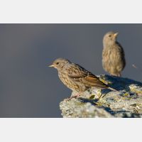 4836 x 3224_Px _RM_110903_MG_0692.jpg