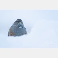 4841 x 3227_Px _RM_170211_MG_9122.jpg