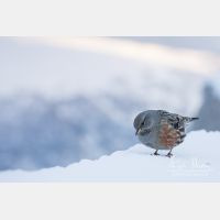 4850 x 3233_Px _RM_170210_MG_6795.jpg