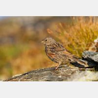 4905 x 3270_Px _RM_110903_MG_0542.jpg