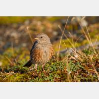 4942 x 3295_Px _RM_110903_MG_0543.jpg