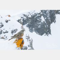 4982 x 3321_Px _RM_170212_MG_5449.jpg