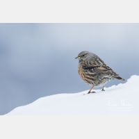 4986 x 3324_Px _RM_170210_MG_5917.jpg