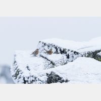 5008 x 3338_Px _RM_140505_MG_0455.jpg