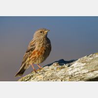 5026 x 3350_Px _RM_110903_MG_0564.jpg