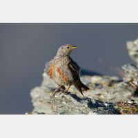 5120 x 3413_Px _RM_110903_MG_0709.jpg