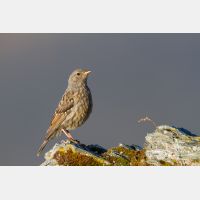 5132 x 3422_Px _RM_110903_MG_0704.jpg