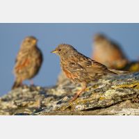 5184 x 3456 _Px_RM_110903_MG_0567.jpg