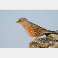 5184 x 3456_Px _RM_110903_MG_0599.jpg