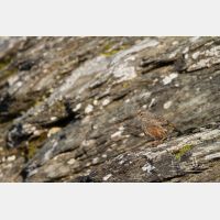 5184 x 3456_Px _RM_110903_MG_0683.jpg