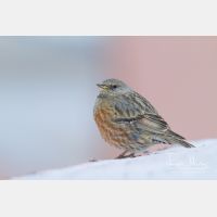 5184 x 3456_Px _RM_140218_MG_0966.jpg