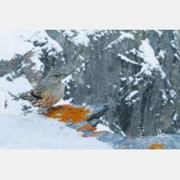 5184 x 3456_Px _RM_170211_MG_5261.jpg