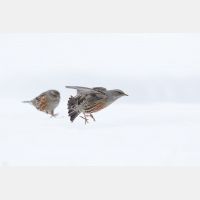 5239 x 3493 Px   _RM_190207_Q4A0513_b.jpg