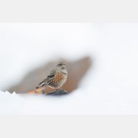 5406 x 3604_Px _RM_170212_MG_9655_b.jpg