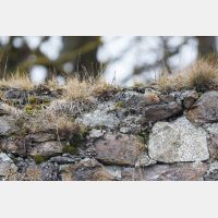 5472 x 3648 Px   _RM_180113_MG_2399.jpg