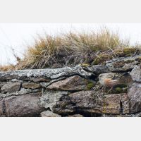 5472 x 3648 Px   _RM_180113_MG_2461.jpg