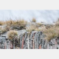 5472 x 3648 Px   _RM_180113_MG_2502.jpg