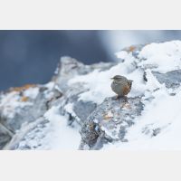 5472 x 3648 _Px_RM_170212_MG_9483.jpg