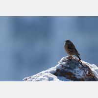 5472 x 3648_Px _RM_170211_MG_7736.jpg