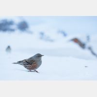 5760 x 3840 Px   _RM_190207_13A9822.jpg