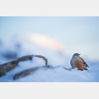 5760 x 3840 Px   _RM_190208_13A1542.jpg