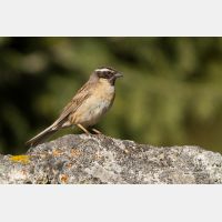 4569 x 3046_Px _RM_140514_MG_0996.jpg