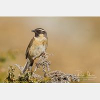 4635 x 3090_Px _RM_140514_MG_1100.jpg