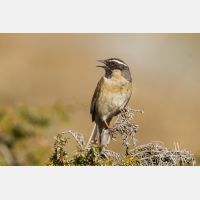 4635 x 3090_Px _RM_140514_MG_1114.jpg