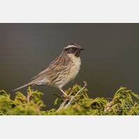 4709 x 3140_Px _RM_140515_MG_1493.jpg